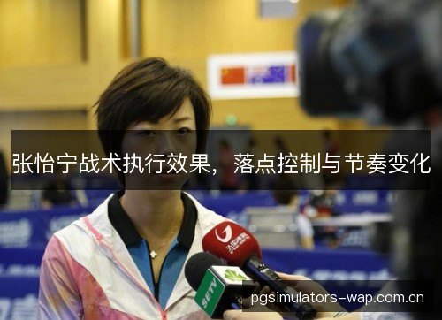 张怡宁战术执行效果，落点控制与节奏变化